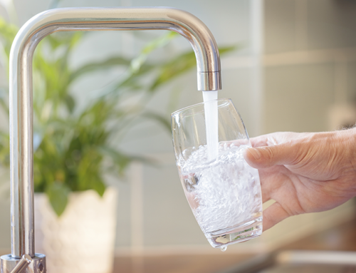 Wasserqualität Wien – Alles was Sie über Wiener Wasser wissen müssen